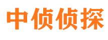 新城侦探公司